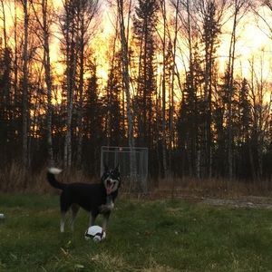 Meet your Posher, Anna